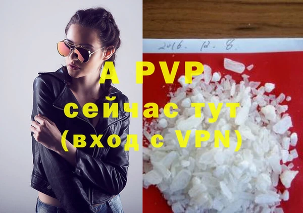 индика Аркадак
