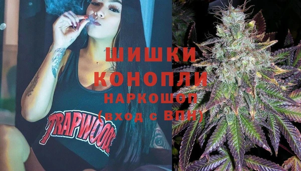 индика Аркадак