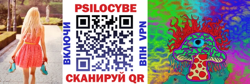 Псилоцибиновые грибы Psilocybe  Иннополис 